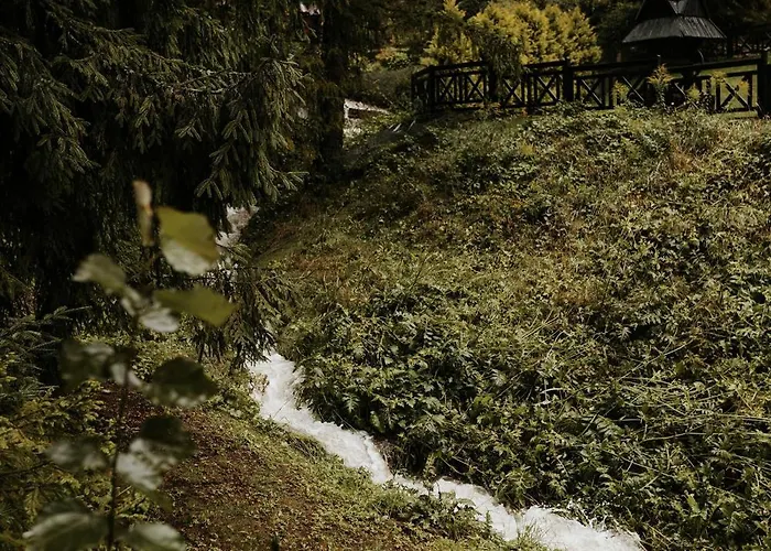 בית אירוח Pod Skrzycznem