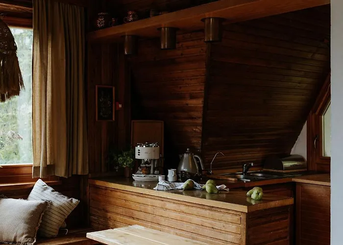 בית אירוח Pod Skrzycznem